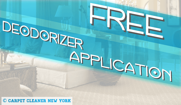Get 2 Rooms Deep Cleaned and Get Free Deodorizer Applicarion
